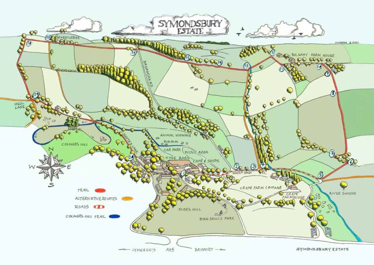 Colmers Hill Walk Dorset Walks